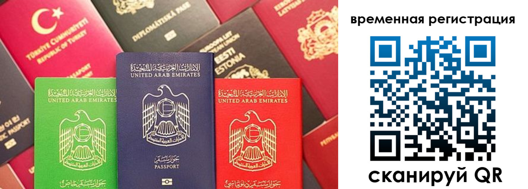 временная регистрация гарантия в Михайловке